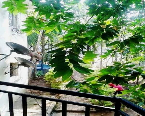 Woodland Resort, Diveagar 3